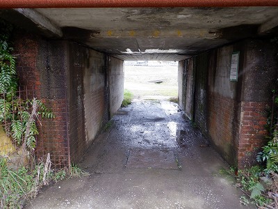 ���m�J�w�摜