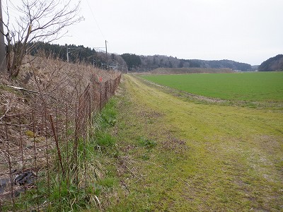 ���m�J�w�摜