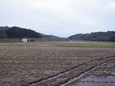 ���m�J�w�摜