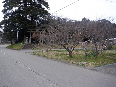 ���m�J�w�摜