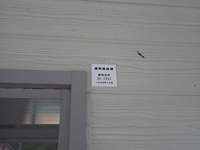 ���m�J�w�摜