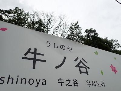 ���m�J�w�摜