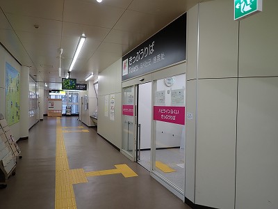 ��������w�摜