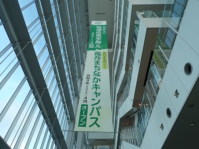 ����w�摜