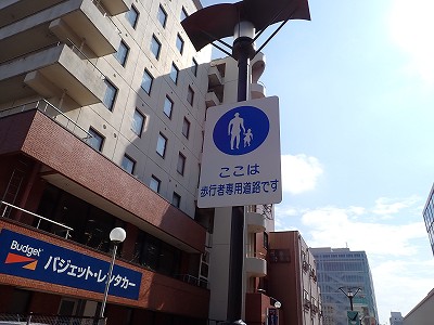 ����w�摜