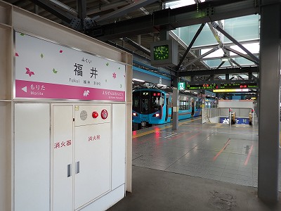 ����w�摜