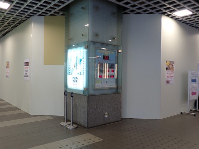 ����w�摜