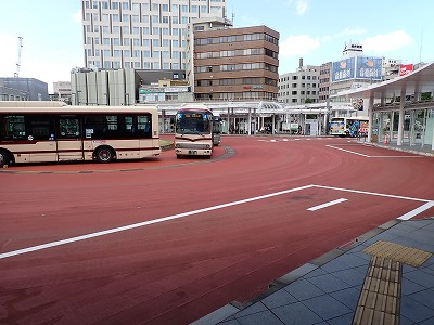 ����w�摜