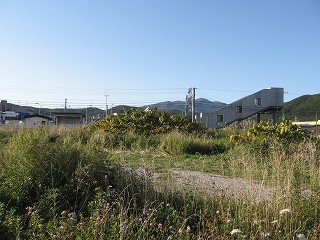 裏より
