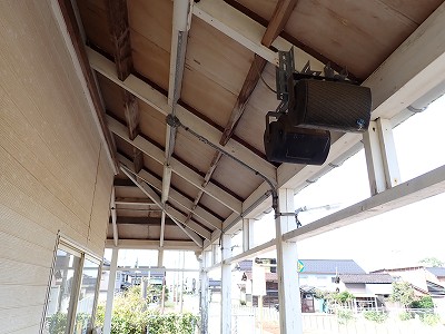 �����w�摜