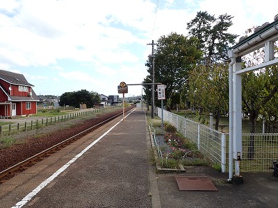 �����w�摜