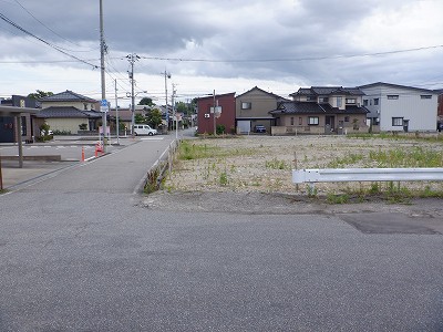 �\���w�摜