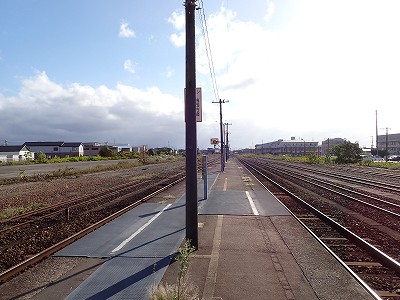 �\���w�摜