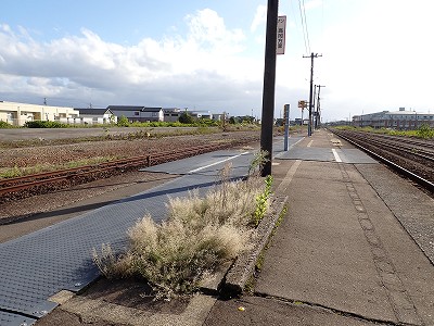 �\���w�摜