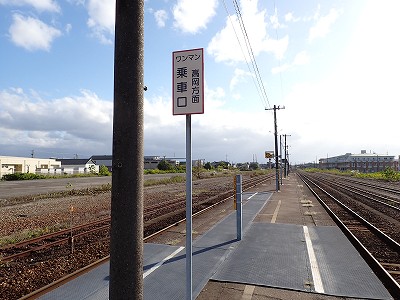 �\���w�摜