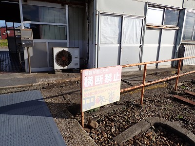 �\���w�摜