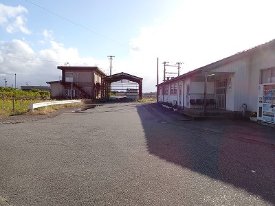 �\���w�摜