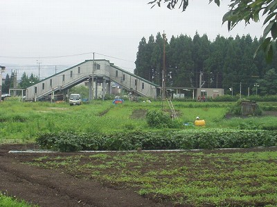 国道側から