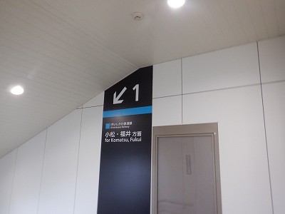 ���C�w�摜