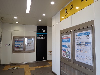 ���C�w�摜