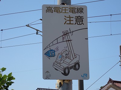 ����w�摜