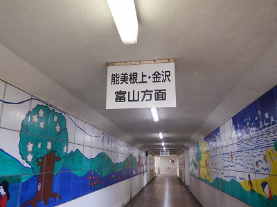 ����w�摜