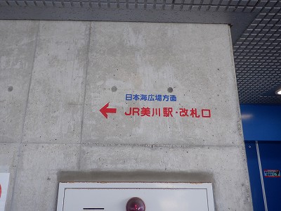 ����w�摜