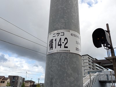 ������w�摜