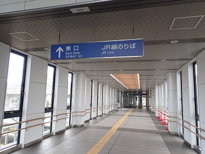 ������w�摜