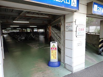 ������w�摜