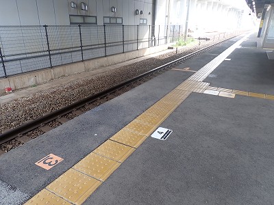 ������w�摜