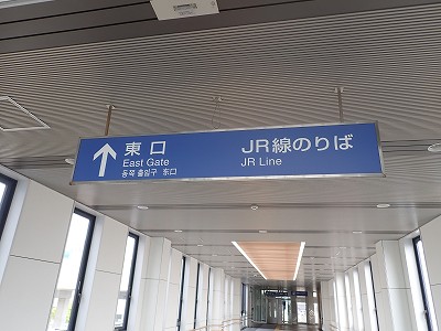 ������w�摜