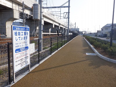 �����C�w�摜