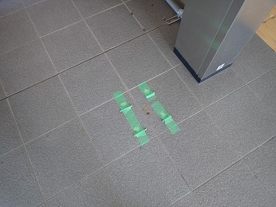 �\������w�摜