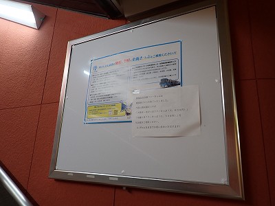 ���ꉷ��w�摜