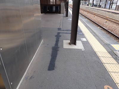���ꉷ��w�摜