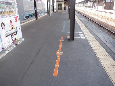 ���ꉷ��w�摜