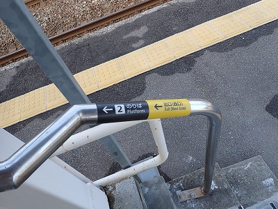 �����q�w�摜