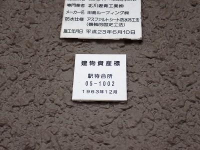 �����q�w�摜