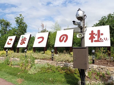 �����w�摜