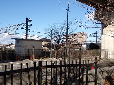 ���C�w�摜