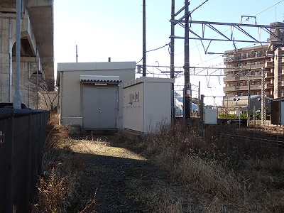 ���C�w�摜