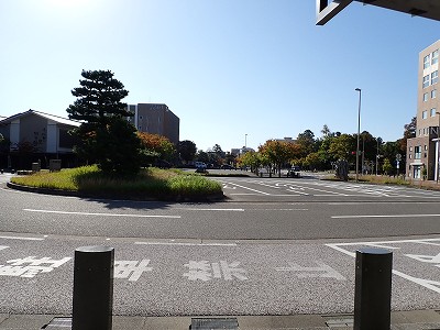 ���C�w�摜