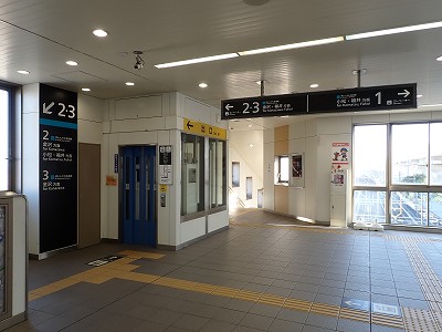 ���C�w�摜