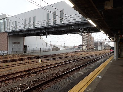 ���C�w�摜
