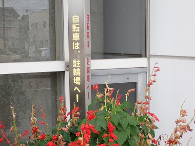 ����w�摜