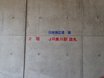 ����w�摜