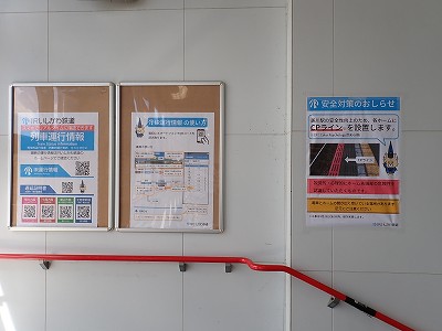 ����w�摜