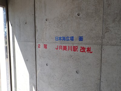 ����w�摜