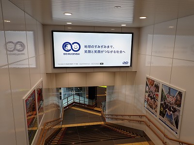 ���ꉷ��w�摜